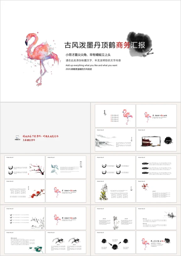 丹顶鹤中国风汇报ppt