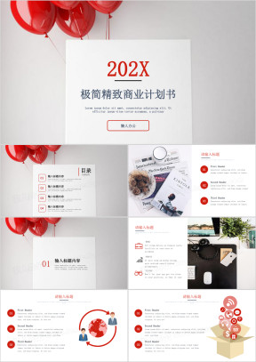 极简精致商业计划书ppt