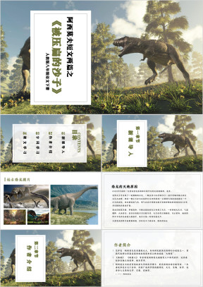 被压扁的沙子语文教学课件