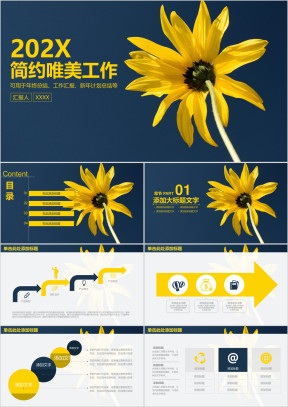 简约唯美商务工作通用总结计划ppt