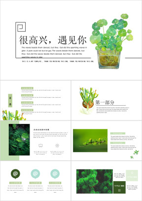 遇见你简约风时尚小清新ppt