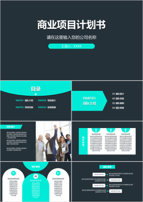 商业项目计划书ppt