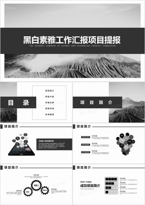 黑白素雅工作汇报项目提报ppt