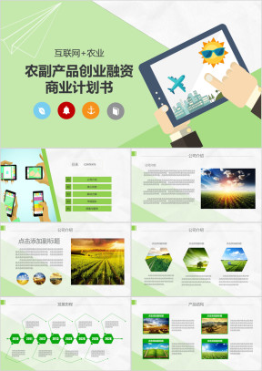 互联网加农业农副产品创业融资商业计划书ppt模板