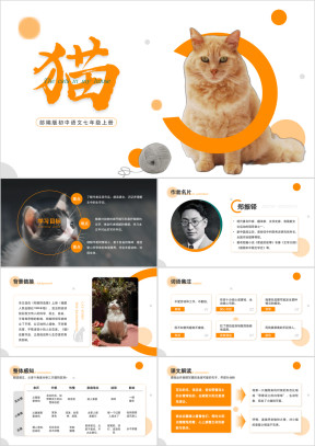 初中语文部编版七年级上册《猫》公开课教学课件