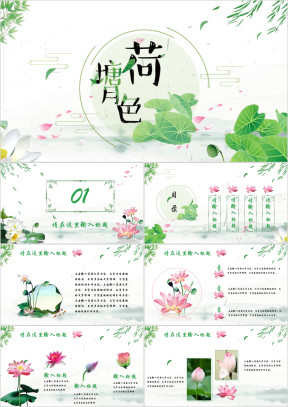 荷塘月色中国风荷花荷叶清新淡雅工作总结汇报ppt