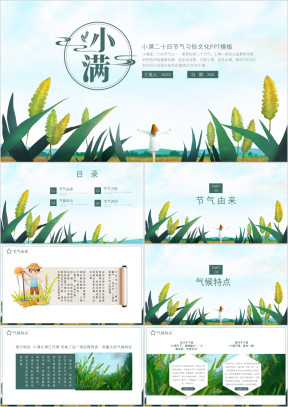 小满24节气习俗文化教学课件ppt