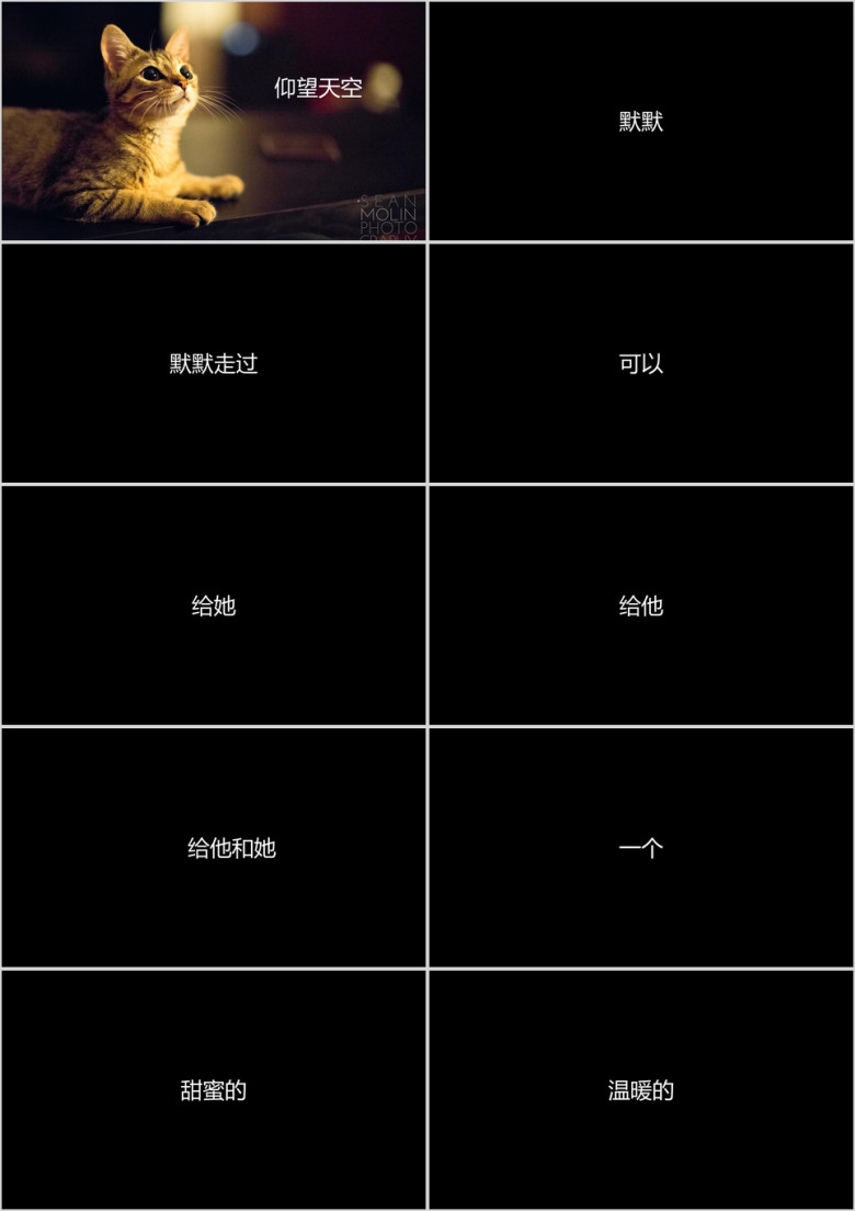 文字快闪ppt